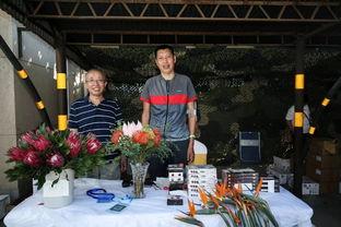 南非大使馆爆料视频播放,视频播放背后的真相披露  第2张